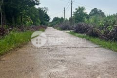 Hải phú hải lăng quảng trị. khổ 12m. hướng đông. 0971599589