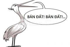 Bán biệt thự xây thô khu thanh bình, bãi tắm thuỷ tiên, phường 10, thành phố vũng tàu.