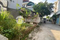 Cần bán nhanh mảnh đất 54 m² ở trâu quỳ, gia lâm, hà nội. sát vinhomes ocean park.