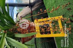 Bán quán cafe lô gốc thu nhập 50 triệu