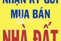 Mua đất lan anh 1 2 5 hoà long giá cao