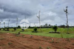 Bán lô đất thổ giá đầu tư chỉ 1.1 tỷ bảo lâm bảo lộc lâm đồng lh 0909245772