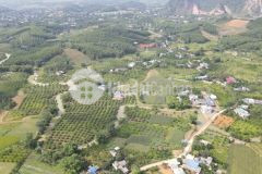 Siêu phẩm nghỉ dưỡng nhà vườn có diện tích gần 6000m2 trong đó có 400m2 thổ cư