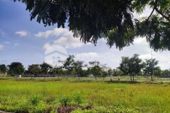 Cần bán gấp lô đất nền, mặt tiền vành đai 4, shr, 70m2 giá 1.2 tỷ.