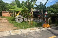 Cần tiền bán lô đất 100m2 5x20m thổ cư hết tại bến cát