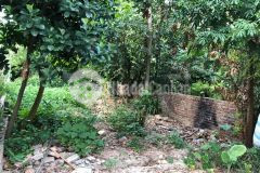 Hiếm, bán đất xuân la, tây hồ, giá đầu tư, ô tô đỗ, dt500m2mt14m, 55 tỷ