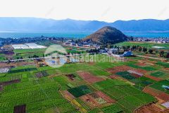 Đất vườn ven biển bình thuận, giá chỉ từ 140.000đm2, sổ sẵn công chứng ngay