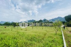 Bán gấp lô đất có diện tích 1400m2 có 400m2 thổ cư bám sông bôi cực đẹp