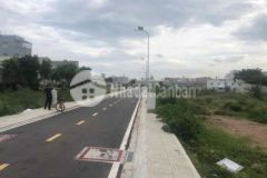 Hoa hồng cho ae giới thiệu