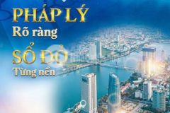Chiết khấu 7 chỉ vàng khi đầu tư đất nền tại khu