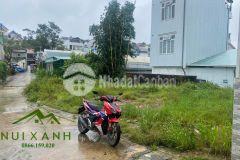 Ban đât đương phan chu trinh gia đâu tư