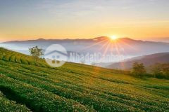 Bán đất chính chủ cách thác đambri 400m, giá tốt có sổ đỏ từng nền.lh xem đất