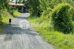 Bán miếng đất 389m2 có 50m2 thổ ở củ chi giá 830 triệu.shr