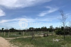 Đất sào phủ hồng tân bình lagi sát biển 15x75 lên thổ cư tự do giá 3,15 triệum2 đường số 1