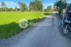 Cần bán đất giá 520tr sát ubnd thạnh bình, xã tân biên tây ninh