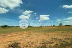 1 lô đất mặt tiền cách ql1a khoảng 300m, giá chỉ 900 triệu 2500m2 shr lh 0919626750