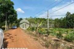 Đất nền tây ninh giá đầu tư, diện tích lớn di chuyển thuận tiện, gần các ccn, kcn