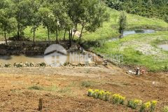 Sành villa bảo lộc lâm đồng cơ hội đầu tư sinh lời hiệu quả giá rẻ