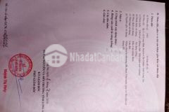 Bán đất đường d8 khu dân cư nam sài gòn