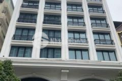 Bán nhà mặt phố lạc long quân 220m2 8 tầng mt 13m