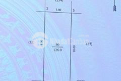 Lô đất đẹp phường quán bàu thành phố vinh