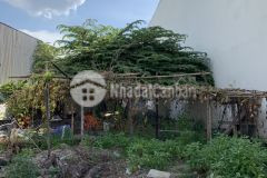 Bán gấp đất thổ cư shr hẻm 6m thạnh xuân 25 quận 12 195m2 giá 7.5 tỷ