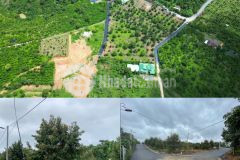 Đất thổ cư sổ sẵn, sau ubnd xã tân lạc, lâm đồng