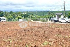 Cần chuyển nhượng lại lô đất vườn có thổ cư, sổ đỏ công chứng,4 mặt tiền đường ô tô,lộc an,lâm đồng