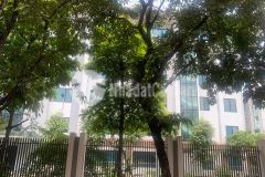 Phân lô bàn cờ, khu hiếm nhà bán phố trần quang diệu, đống đa. 0911554873.