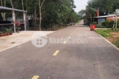 Long tân 300m vuông 5x44 nở hậu 14m nhựa 9m thông