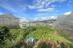 Bán gấp đất rộng 13 6 tỷ nam hồ p11 đà lạt