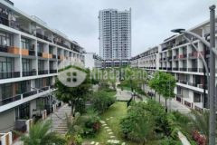 Cần bán shouphoup 80m 5 tầng nhỉnh 15 tỷ