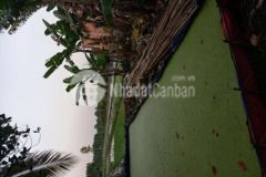 Bán đất đt 816 bến lức long an