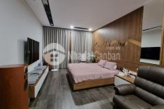 Bán nhà chính chủ dân xây, trần cung, bắc từ liêm 41m, 5 tầng, mt 4m, giá hơn 3 tỷ.