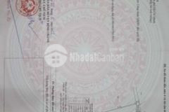 Bán gấp 1000m2 mt đường cấu ông đức tân nhựt