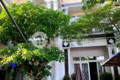 Biệt thự trắng sa hoa lộng lẫy giữa sài gòn.kiot mặt tiền bùi công trừng 295m2,3 tầng chỉ 22 tỷ