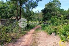 Bất động sản quảng trị thôn hà xá, xã triệu ái, huyện triệu phong, tỉnh quảng trị