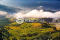 Siêu phẩm sa pa 2 vị trí đắc địa, đón sóng đầu tiên tại y tý có nhà có sổ view đẹp nhất y tý