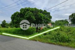 Đất củ chi shr đường nhựa 12m thông 5x15 mà chưa tới 1.3 tỷ