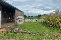 Bán lô đất hẻm đường tố hữu, hoà khánh, bmt, daklak