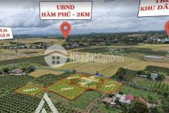 Chính chủ bán đất thổ cư xã hàm trí