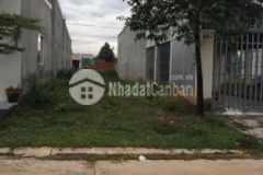 Bán đất hố nai 3 trảng bom đồng nai 1 051 tỷ