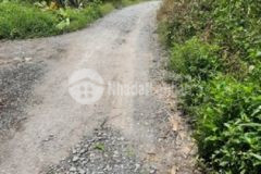 Nền thổ cư dt257m 7x37 đường bà hẹ h lai vung