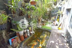 Siêu phẩm nhà 2 mặt tiền đường nguyễn phước nguyên giá chỉ 9 tỷ 5, mặt tiền kinh doanh.