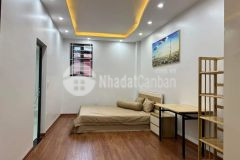 Bán nhà đẹp tôn đức thắng, ngõ thông, ở sướng, 50m, giá chỉ 5.5 tỷ