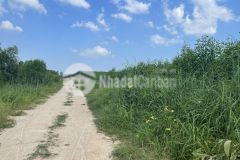 Đất tân bình lagi bình thuận 17x50 1 sào mặt tiền đường kênh rộng 10m giá 1 tỷ gần dân