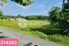 Đất thạnh bình tây ninh đấtsổsẳn bánđất