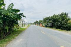 4100m2 đất vườn mặt tiền 816 xã bình đức, bến lức, long an