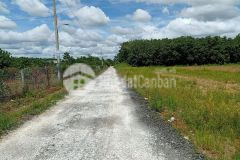 200m2 đất tc châu thành tây ninh, mt đường 10m, giá thương lượng.