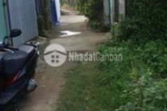 Đất vươn khu đang xét duyet cho lên thỗ